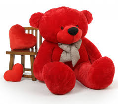 cute teddy bear whatsapp dp
