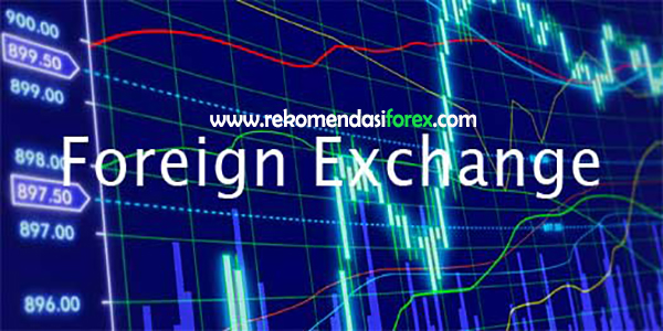 Apa itu forex exchange