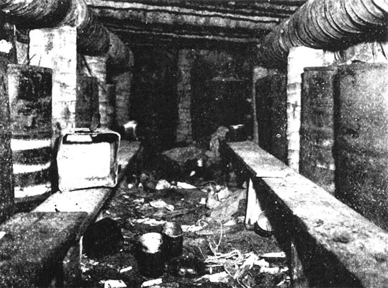 BATALLA DE BUNAGONA, NUEVA GUINEA, 1942/43 WW2 en Imágenes Blog