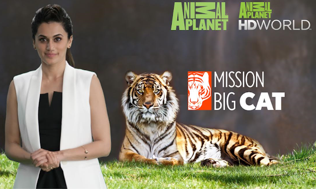 Animal Planet presents ‘Mission Big Cat’, an all-new season of exclusive programming on Big Cats Animal Planet presents ‘Mission Big Cat’, an all-new season of exclusive programming on Big Cats