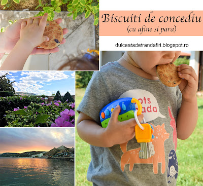 Biscuiti de concediu (cu afine si para)