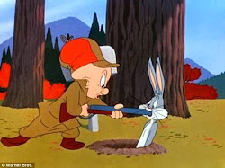 looney tunes elmer fudd rabbit gun cartoons bunny season violent gravy anti characters bugs police dixie under shotgun surgeon wabbit