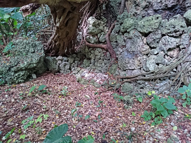 仲間グスク 仲間グスクの写真