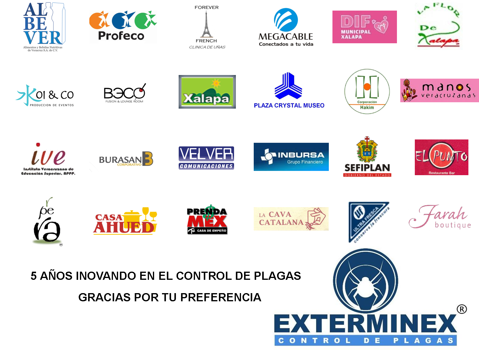 EXTERMINEX Control de Plagas