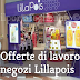 Lillapois Lavora Con Noi (Posizioni Aperte, Requisiti, Inviare Curriculum)