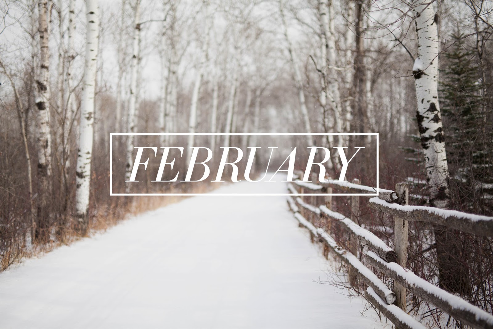 what if this is as good as it gets?: february challenge