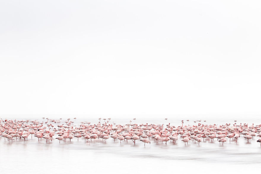 Meniconzi Alessandra, Switzerland (Open Competition, Wildlife) Meniconzi Alessandra, Switzerland (Open Competition, Wildlife)