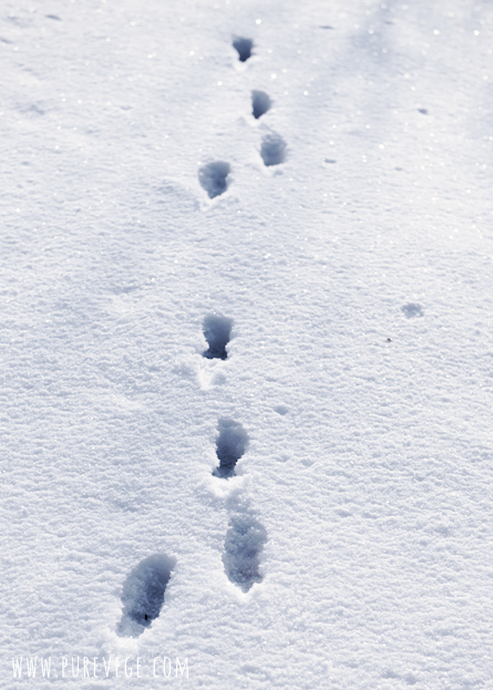 3-Winter 3-Winter