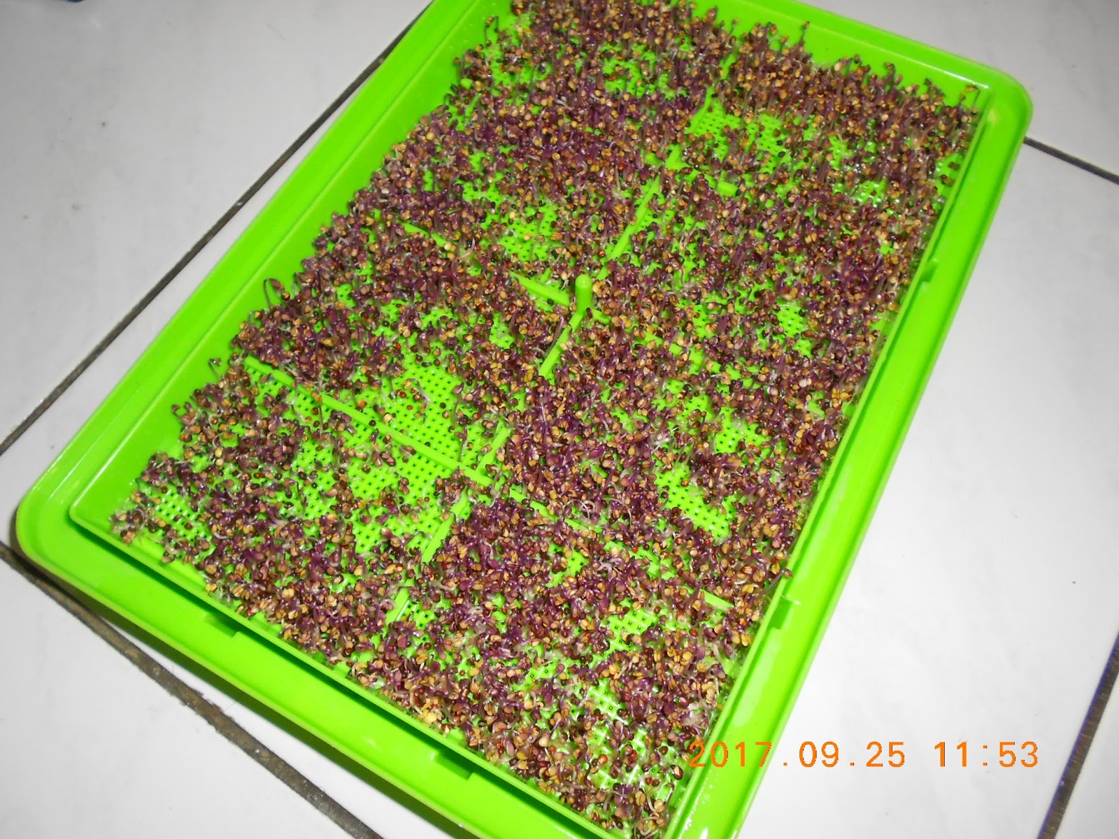 �����R,�����R��,���Ⱚ�R��,������ŵ�,�����R��i,�����R����i,�����ŵ��ܦ�,�����ŵ浵���ߵ�,�����R��