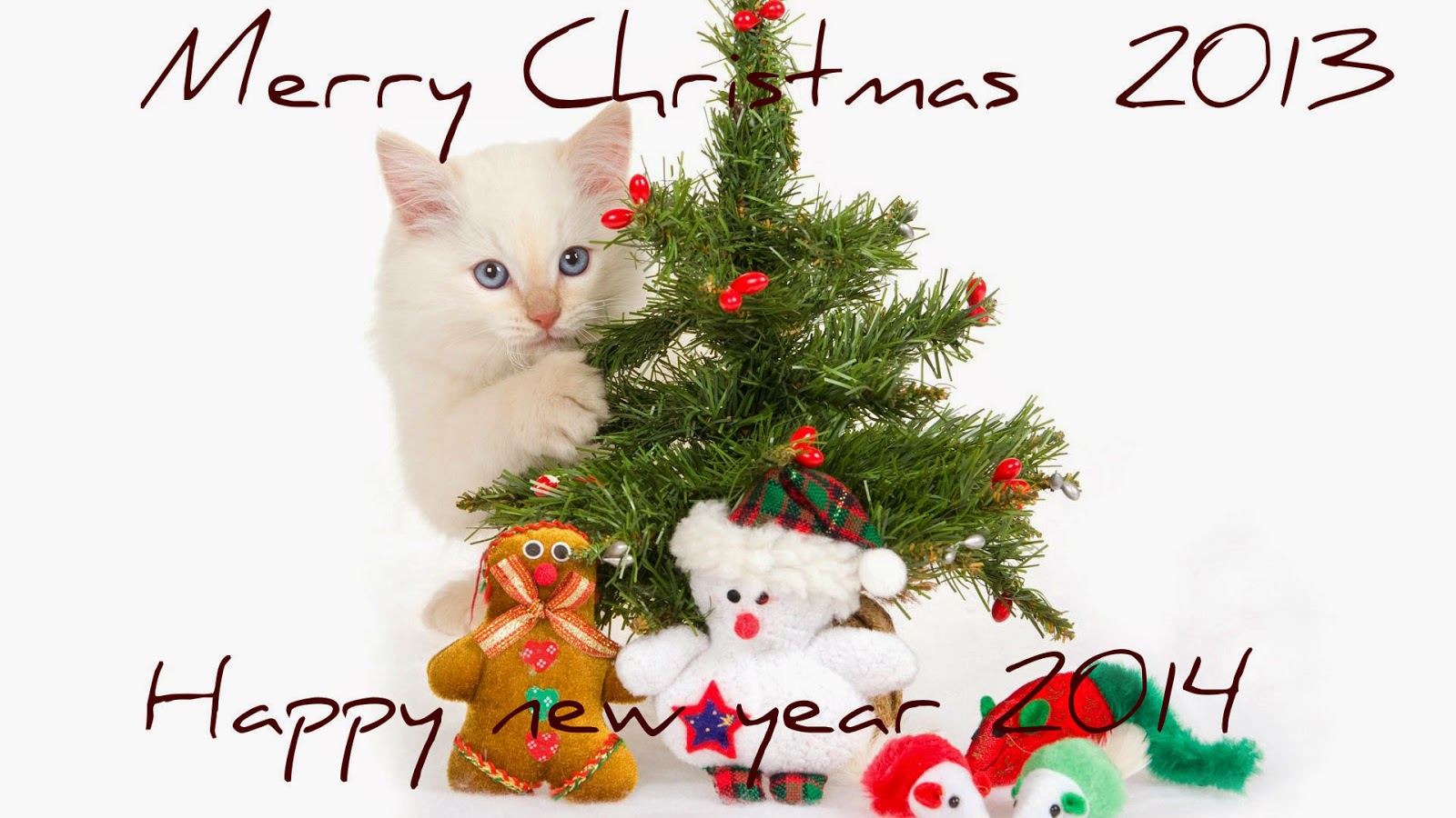Happy Christmas HD Images With Information | Information Magazine