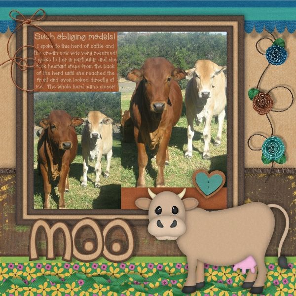 zoo-med-starter-kit-1.jpg