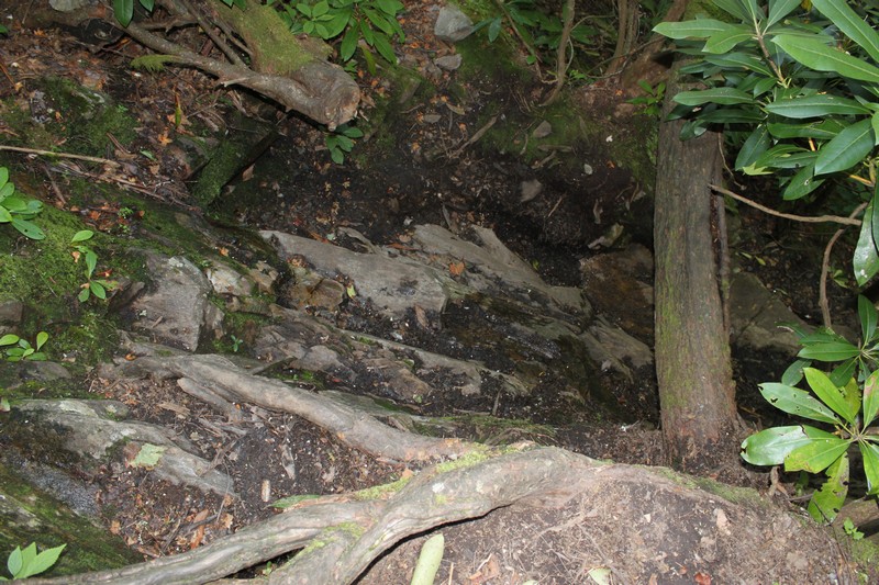 Til the Last Hemlock Dies Red Fork Falls