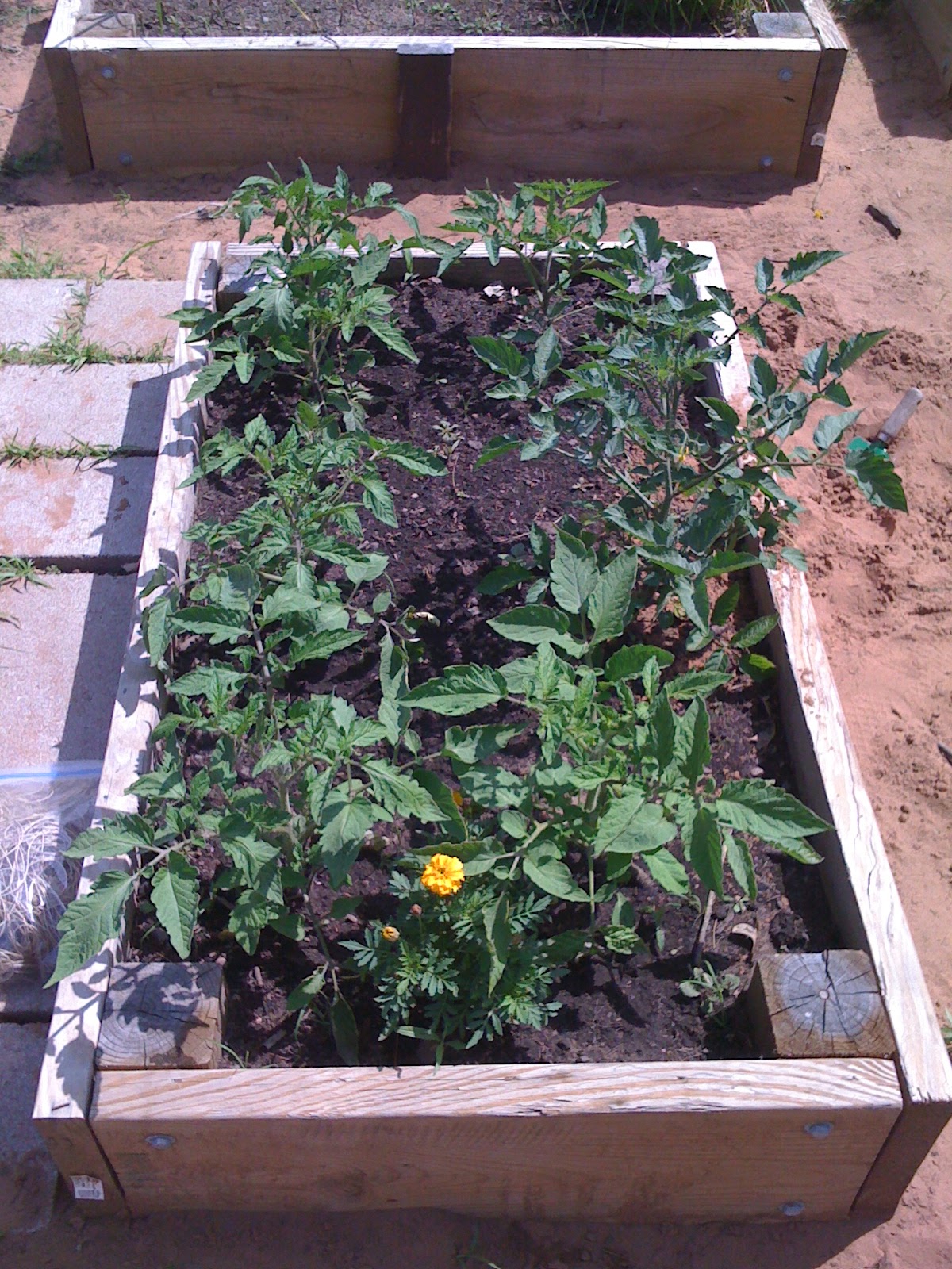 Back to Our Roots Creative &quot;Free&quot; Tomato Supports