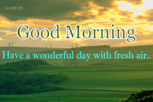 Good morning e greetings and wishes with fresh air on a wonderful day.