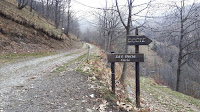 Bivio per Occie