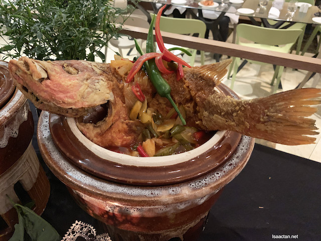 Ikan Merah Tiga Rasa Pak Cik Mortaza Ikan Merah Tiga Rasa Pak Cik Mortaza