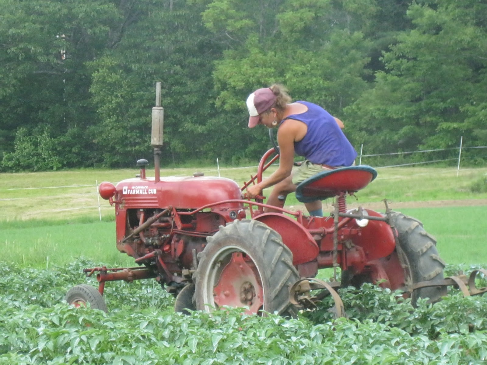 black kettle farm Apprenticeships