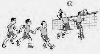 pengetahuan dasar bola voli untuk anak sekolah dasar