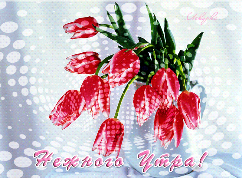https://4.bp.blogspot.com/-w2sftgSHuPU/WcAb4cKrZTI/AAAAAAAAwGU/0jg56_fUZ6gSPo0KgwiaYutDG14hO9jIgCLcBGAs/s1600/negnogo-utra.gif