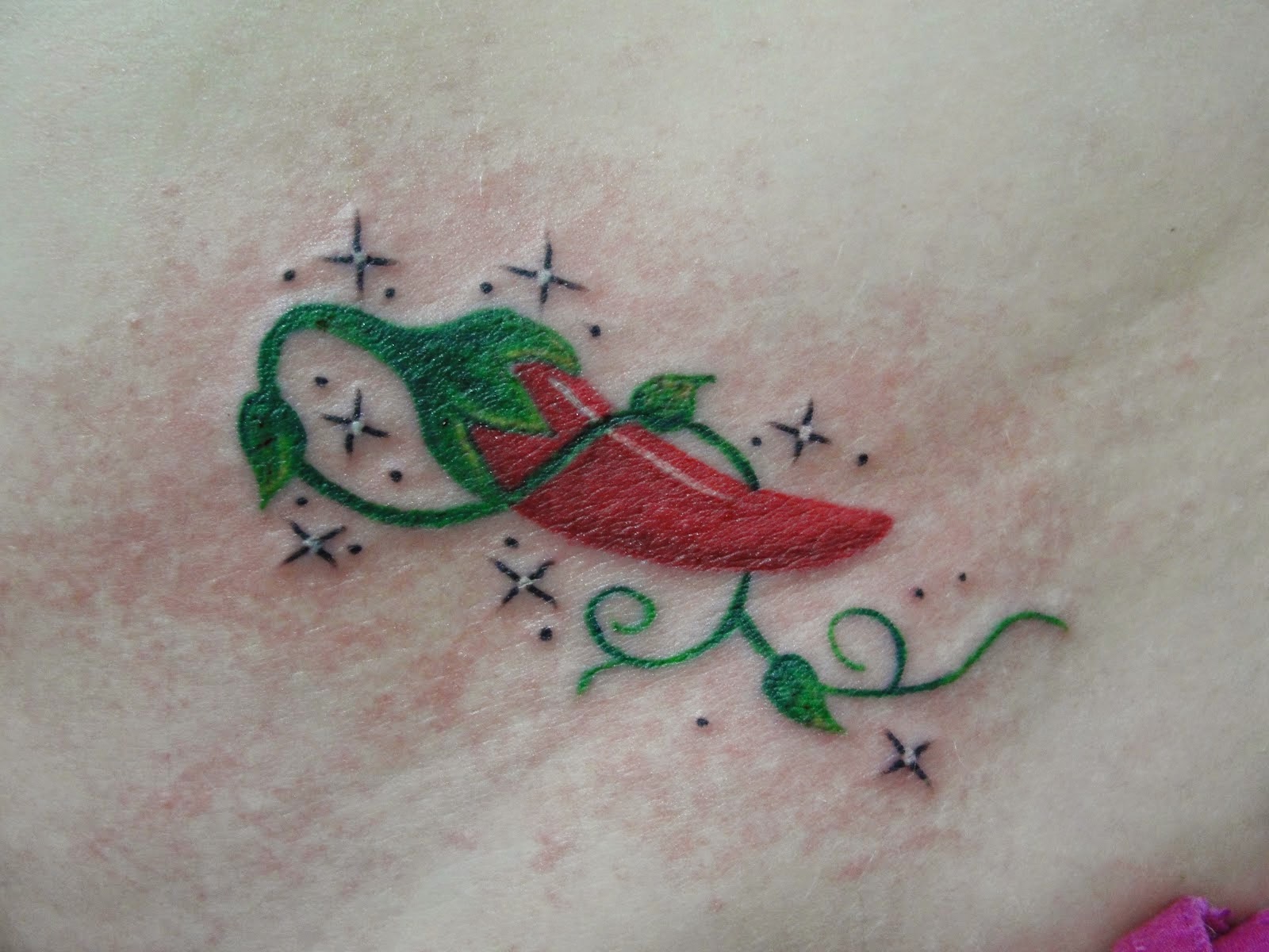 Tatuagem de Pimenta vermelha Fotos de tatuagens para