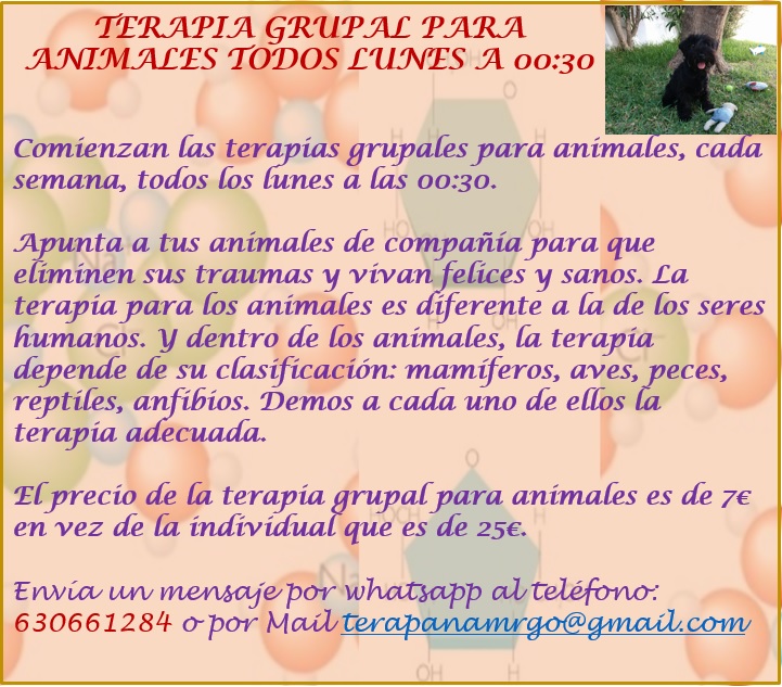 Terapias grupales para adelgazar