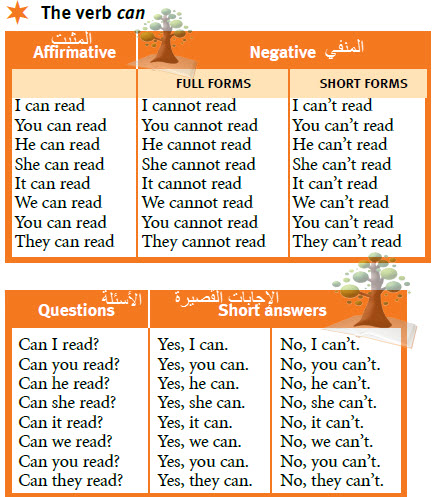 Traveller 1, the verb can, questions, affirmative, negative, short answers,