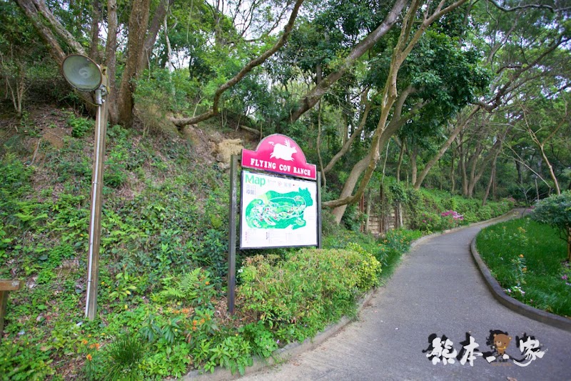 苗栗飛牛牧場|飛牛廣場、牧場工房、庭園木屋、牧場原憩、童玩區|園區環境