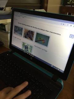 https://www.edtechlens.com/rainforest-journey