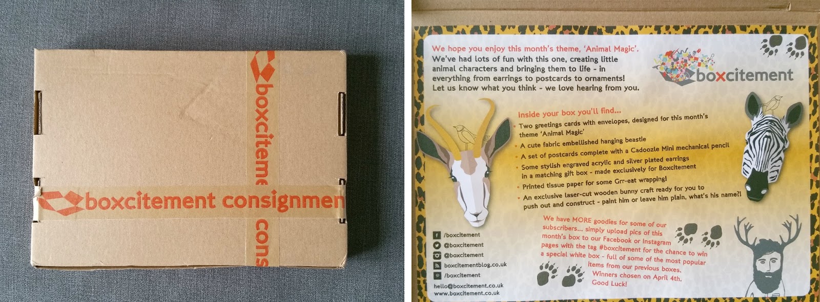Boxcitement, art and craft subscription box, lifestyle subscription box