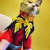 Adorable Cats in Gundam Inspired Costumes