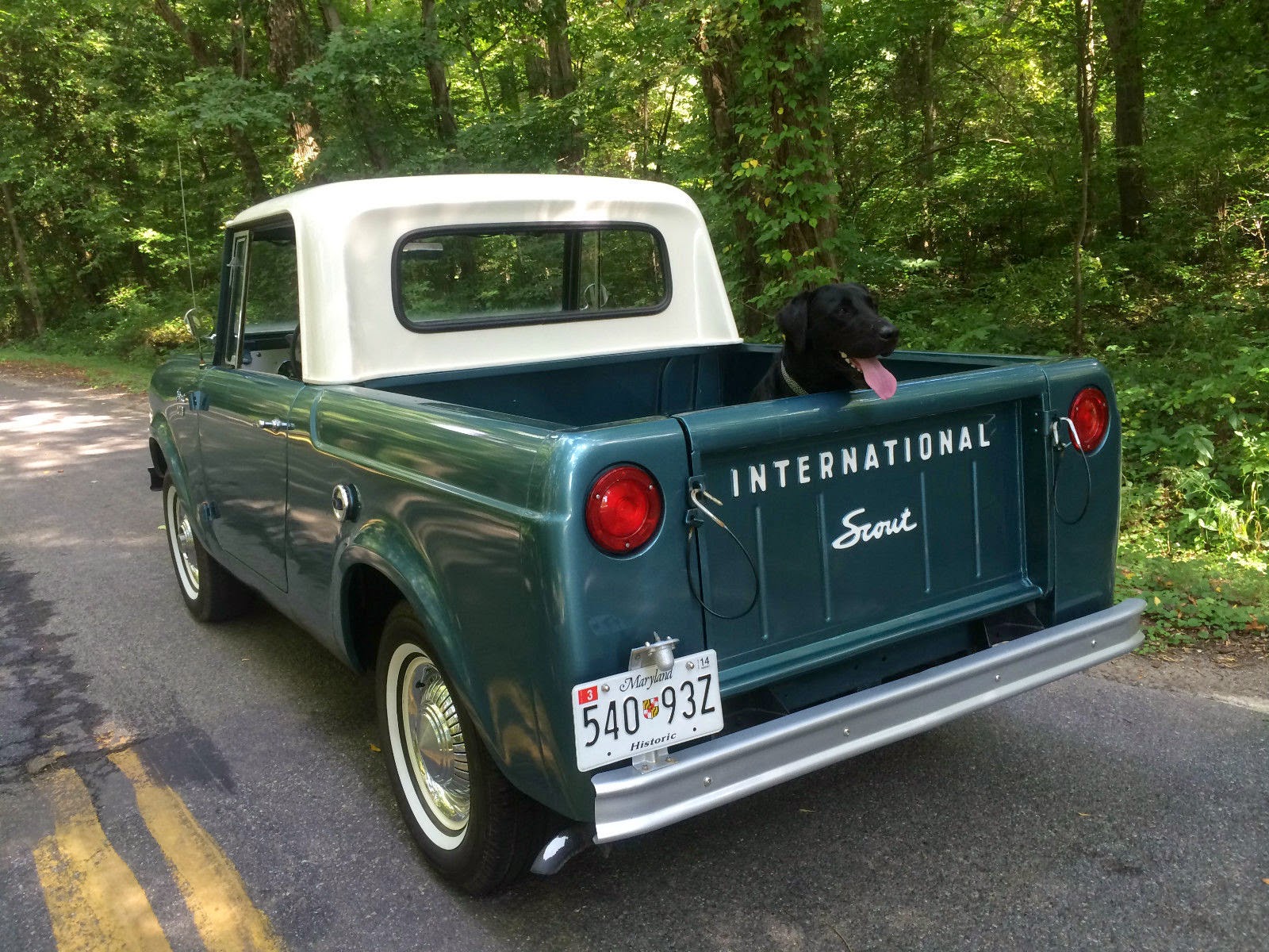 1965 International Scout 80 4x4 Pickup Truck | Auto ...