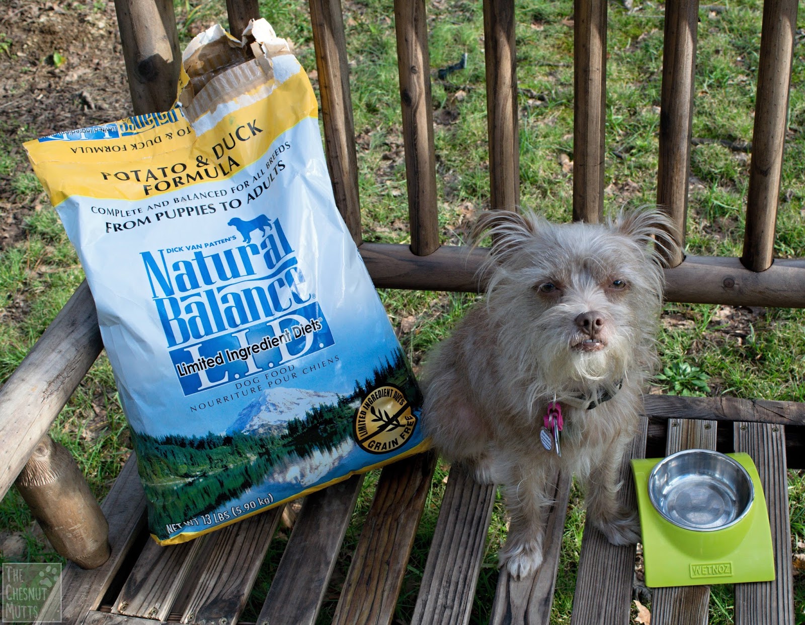 Brand Spotlight: Keeping your Pet Allergy-Free With #NaturalBalance ... | Natural Balance Dog Food Allergies
Brand Spotlight: Keeping your Pet Allergy-Free With #NaturalBalance ... | Natural Balance Dog Food Allergies