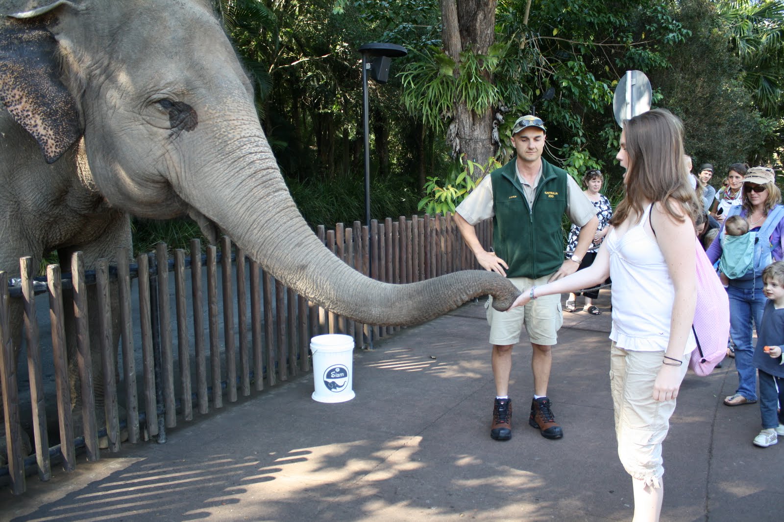 University of the Sunshine Coast Australia Zoo