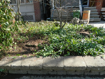 Riverdale Spring Cleanup Front Raised Bed After by Paul Jung Gardening Services--a Toronto Organic Gardening Company Riverdale Spring Cleanup Front Raised Bed After by Paul Jung Gardening Services--a Toronto Organic Gardening Company