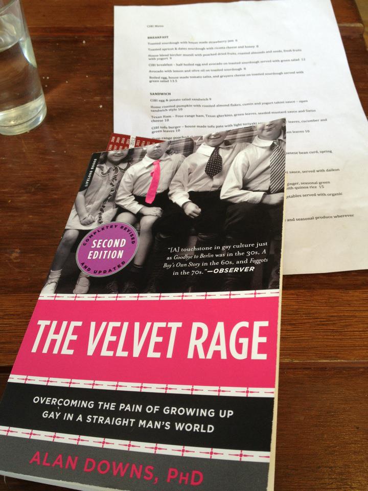 Delta Of Venus Lessons from "The Velvet Rage" by Alan Downs, PhD