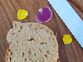 Malzbierbrot aus der Kastenform: Das einfachste Rezept der Welt. Das Brot bekommt außen eine leckere Kruste und ist innen schön weich, Kinder und Gäste lieben es!