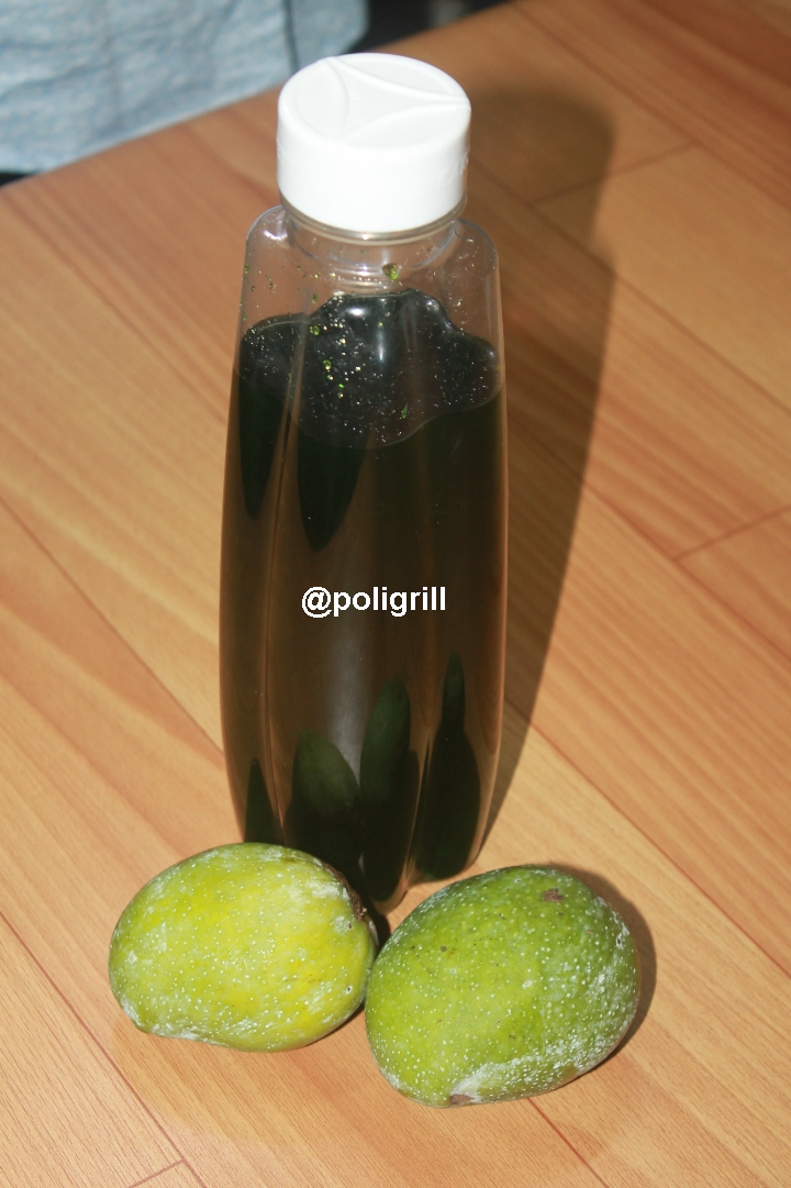 PoliGrill Green Mango Squash Recipe