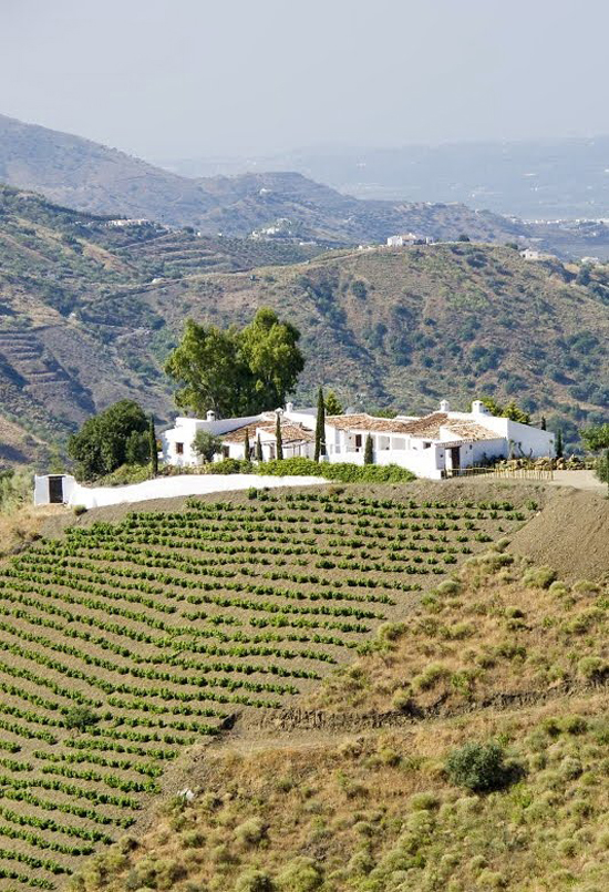 El Carligto Estates in Andalucia, Spain via www.myparadissi.com