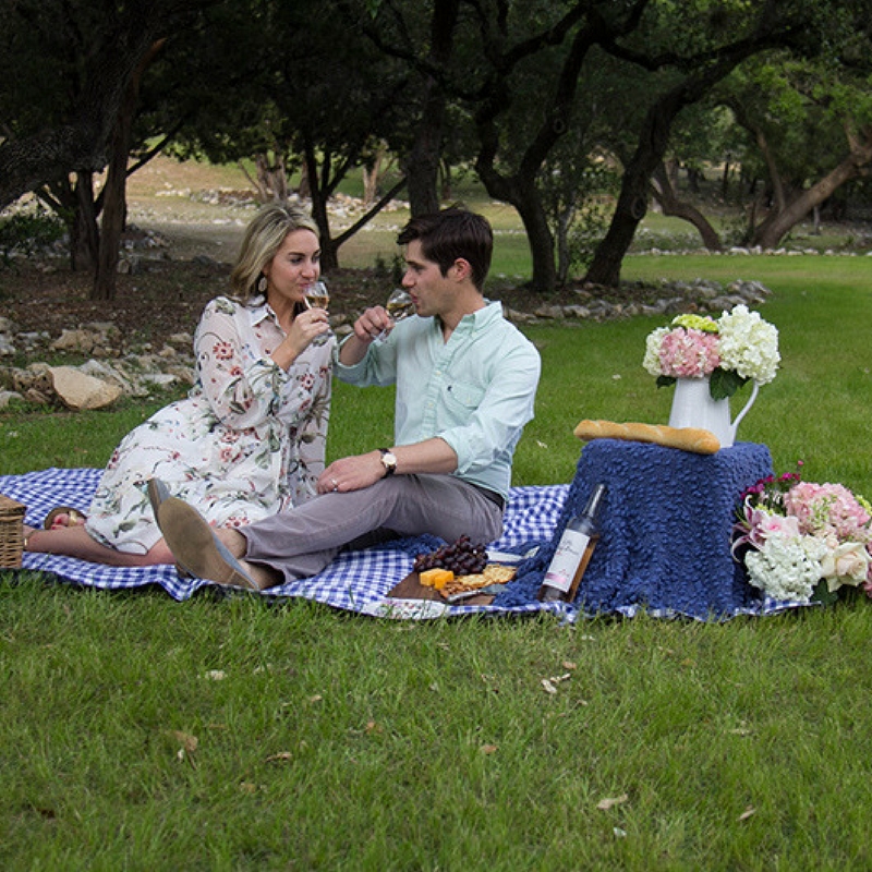 How to Plan a Picnic Date How to Plan A Picnic Date