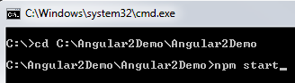 npm start command