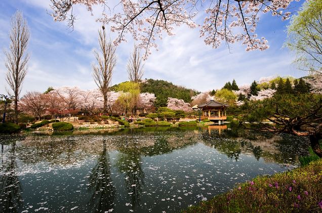 KUMPULAN GAMBAR  PEMANDANGAN INDAH DI KOREA  Tempat Wisata  