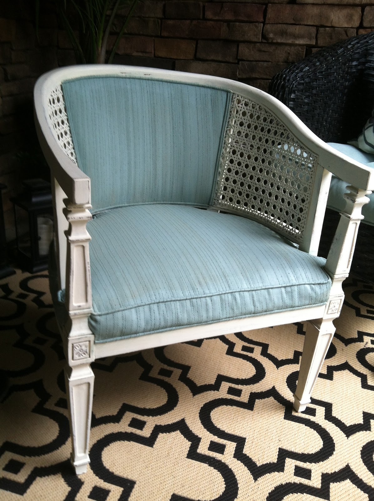 StudioKdesigns Painting Fabric with Annie Sloan Chalk Paint on a Cane