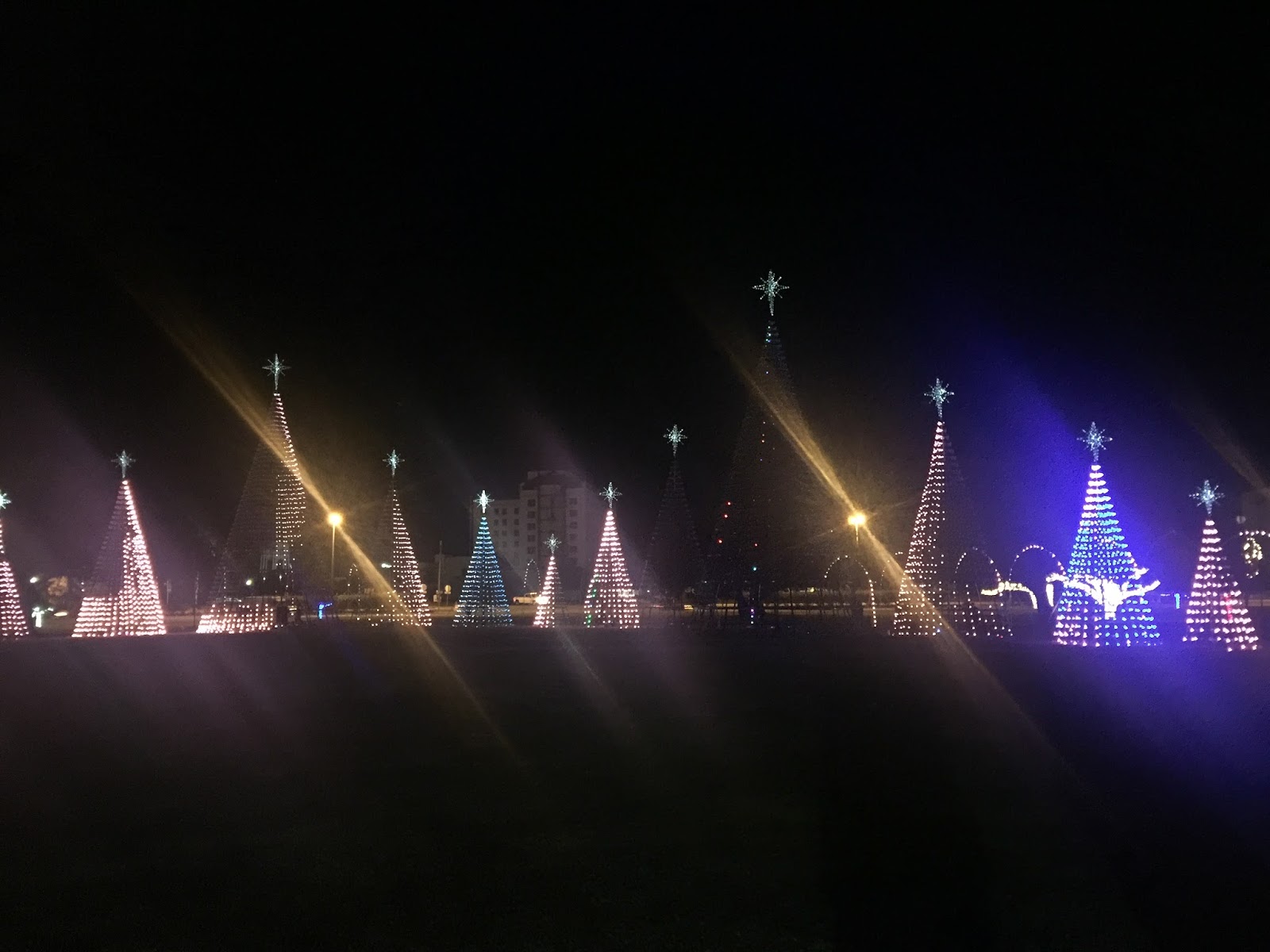 Random Thoughts Christmas lights at Jones Park Gulfport, MS