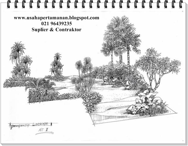 Tukang Taman- Taman dan kolam minimalis - suplier tanaman hias: DESAIN