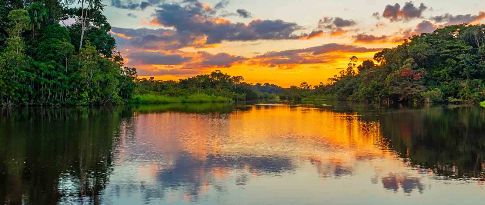 Où et quand partir en Guyane Française Ou-et-quand-partir-en-Guyane-Française
