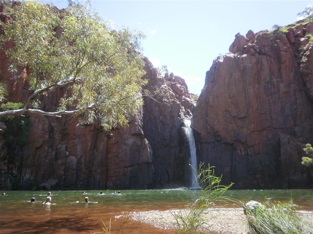 Scubavet Python Pool and Red Dog