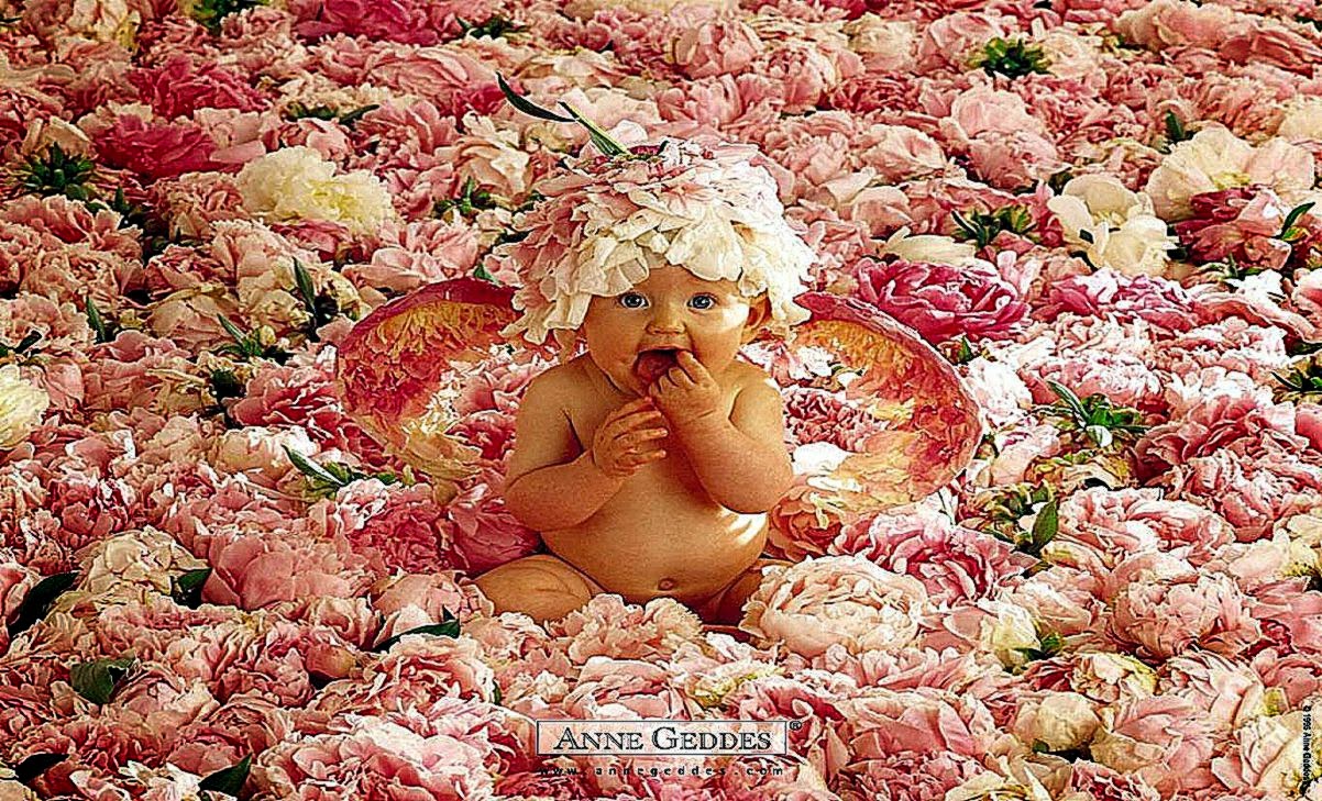 Free Download HD Cute Baby in Flowers 1024x768   Download FREE