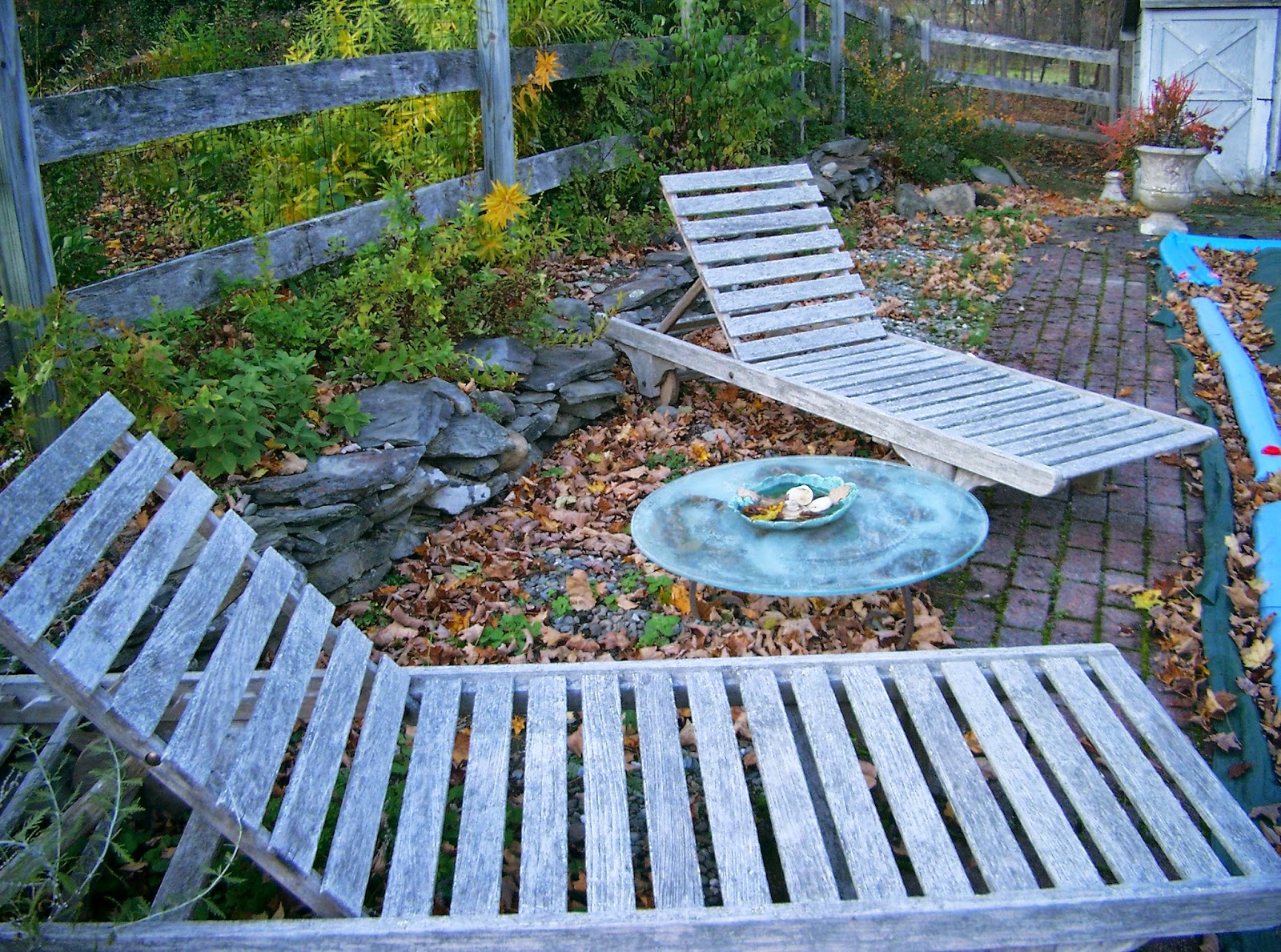 wing cottage poolside ©linda nelson 2014
