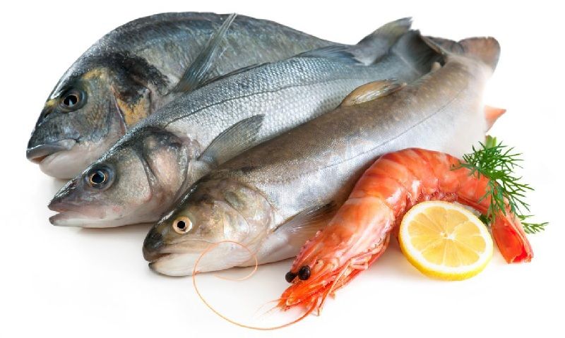 Kandungan Gizi Pada Ikan Secara Umum