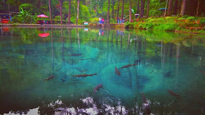 Backpacker Blitar - Rambut Monte Backpacker Blitar - Rambut Monte